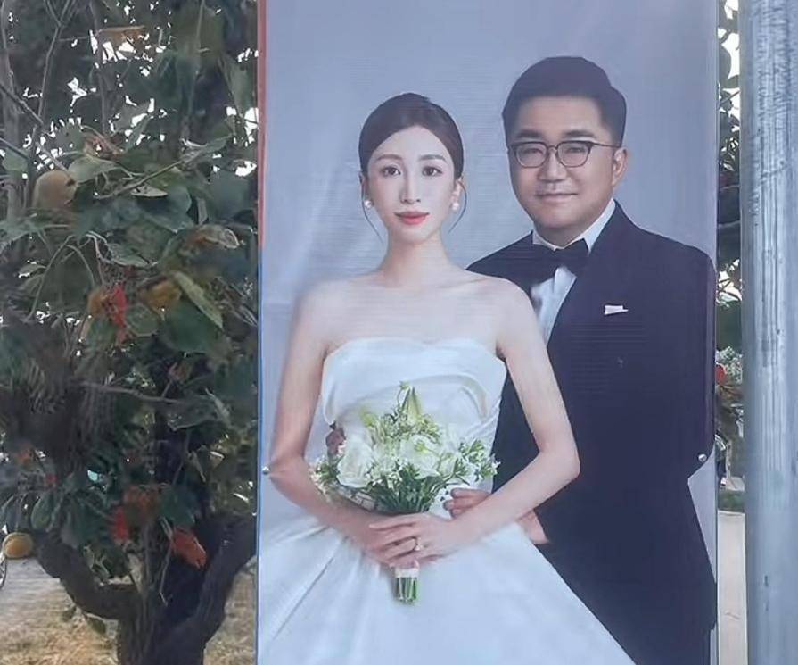 系网有多硬, 巨大的草坪, 总资产有